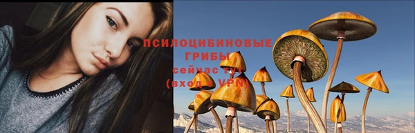 ГАЛЛЮЦИНОГЕННЫЕ ГРИБЫ Ладушкин