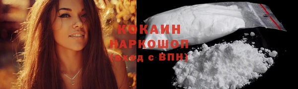 ГАЛЛЮЦИНОГЕННЫЕ ГРИБЫ Ладушкин