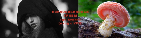 ГАЛЛЮЦИНОГЕННЫЕ ГРИБЫ Ладушкин