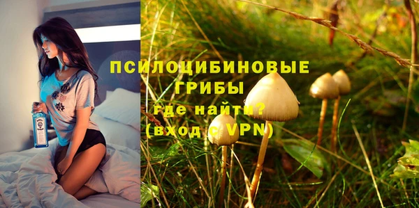 бошки Лабытнанги