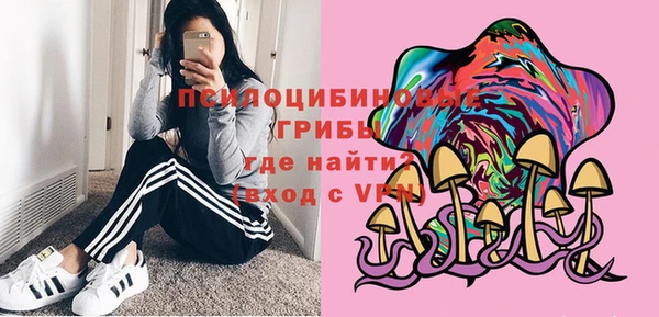 первитин Лагань
