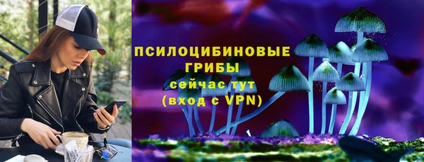 бошки Лабытнанги