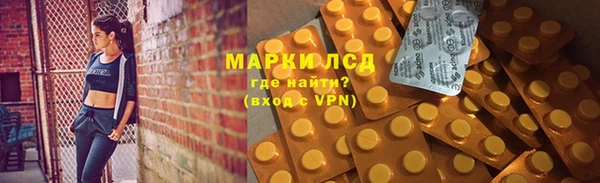ГАЛЛЮЦИНОГЕННЫЕ ГРИБЫ Ладушкин