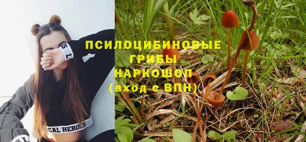 первитин Лагань